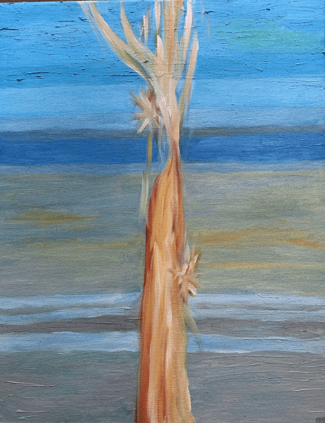 THE FLAME OF HOPE